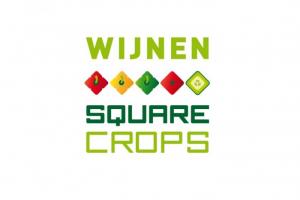Wijnen square crops